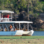 Chobe Rive Boat Cruise