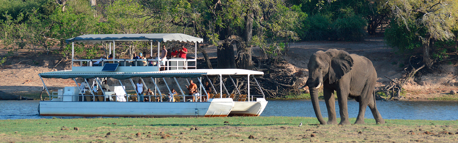 Chobe Rive Boat Cruise