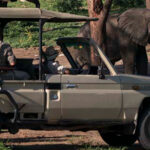 Chobe game drive