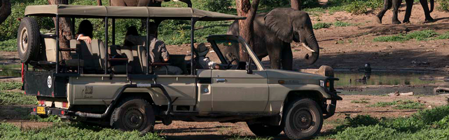 Chobe game drive