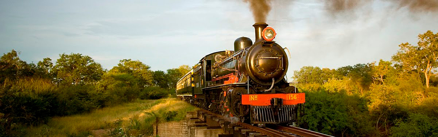ZAM-Bushtrack_Royal_Liv_Express_6